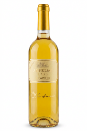 Anselmi "I Capitelli" Passito Veneto bianco Igt 2022 - Anselmi