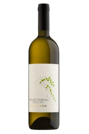 Cantina Rotaliana MÜLLER THURGAU Trentino Doc 2022 - Cantina Rotaliana