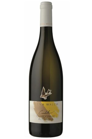 Elena Walch Chardonnay "Cardellino" Alto Adige DOC 2024 - Elena Walch