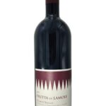 Fontodi "Filetta di Lamole" Chianti Classico DOCG 2021 - Fontodi